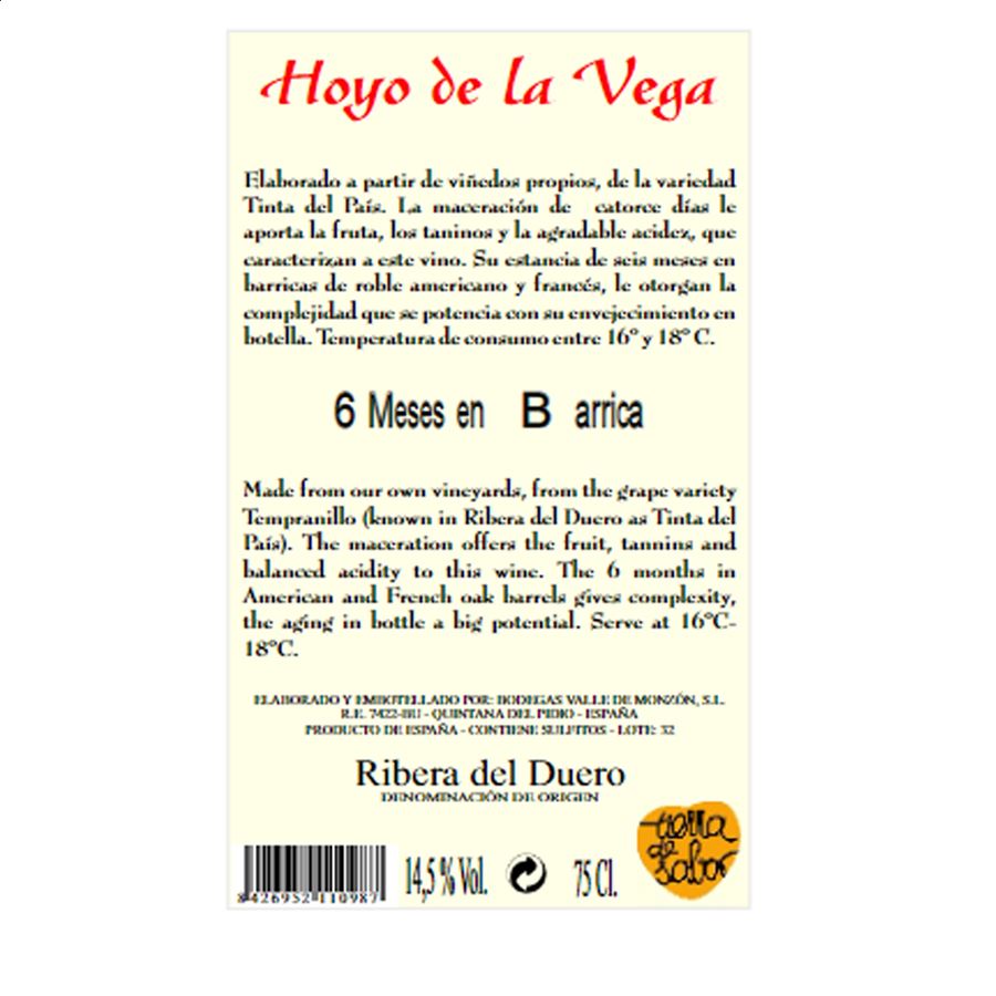 Bodegas Valle de Monzón - Vino tinto Roble Hoyo de la Vega D.O. Ribera Del Duero 75cl, 6uds