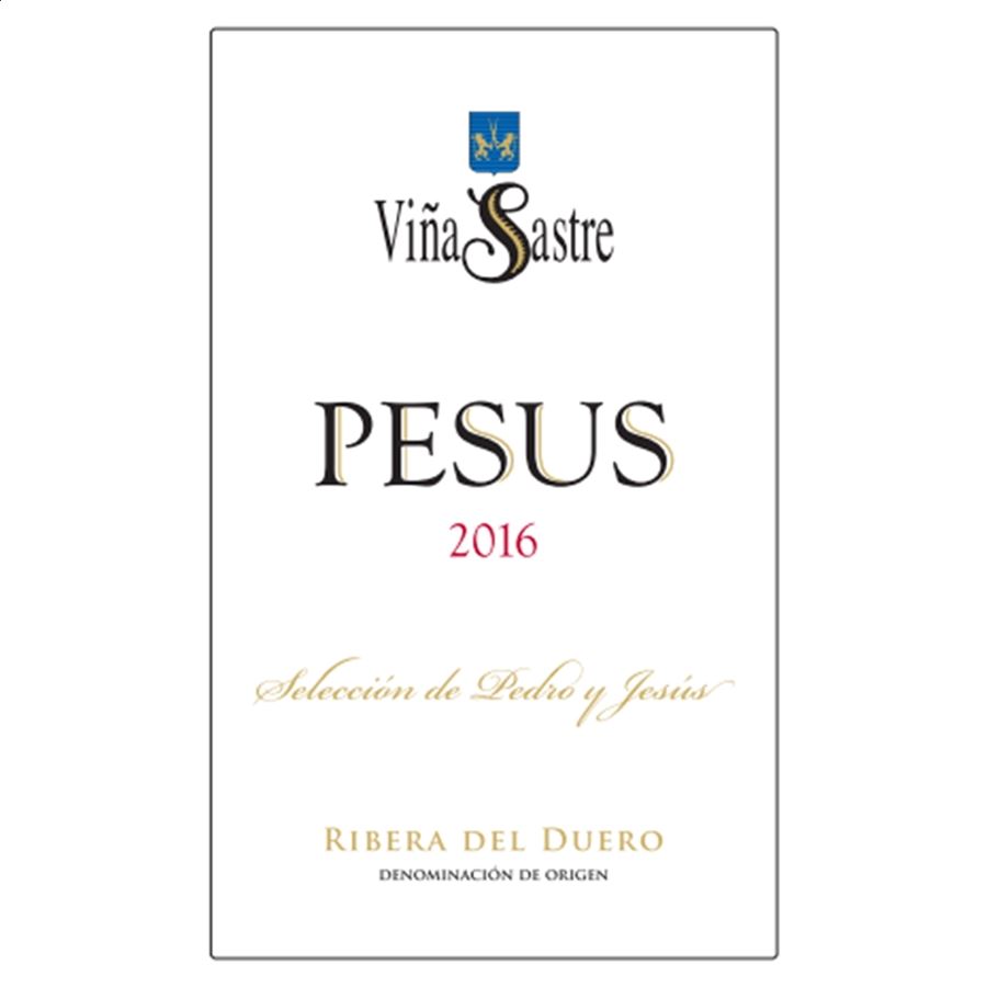 Viña Sastre Pesus 2016 - Vino tinto D.O. Ribera del Duero 75cl, 1ud