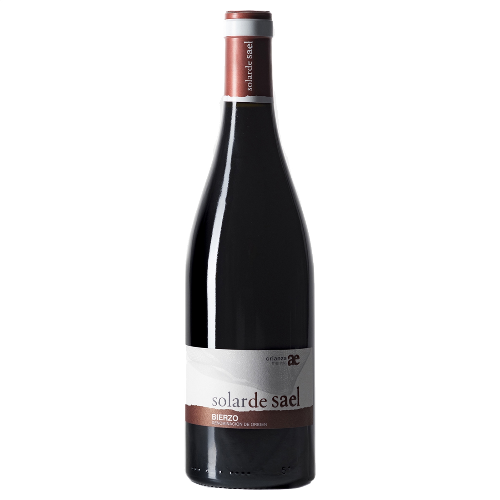 Arturo García Viñedos y Bodegas - Solar de Sael vino tinto Mencia D.O. Bierzo 75cl, 6uds